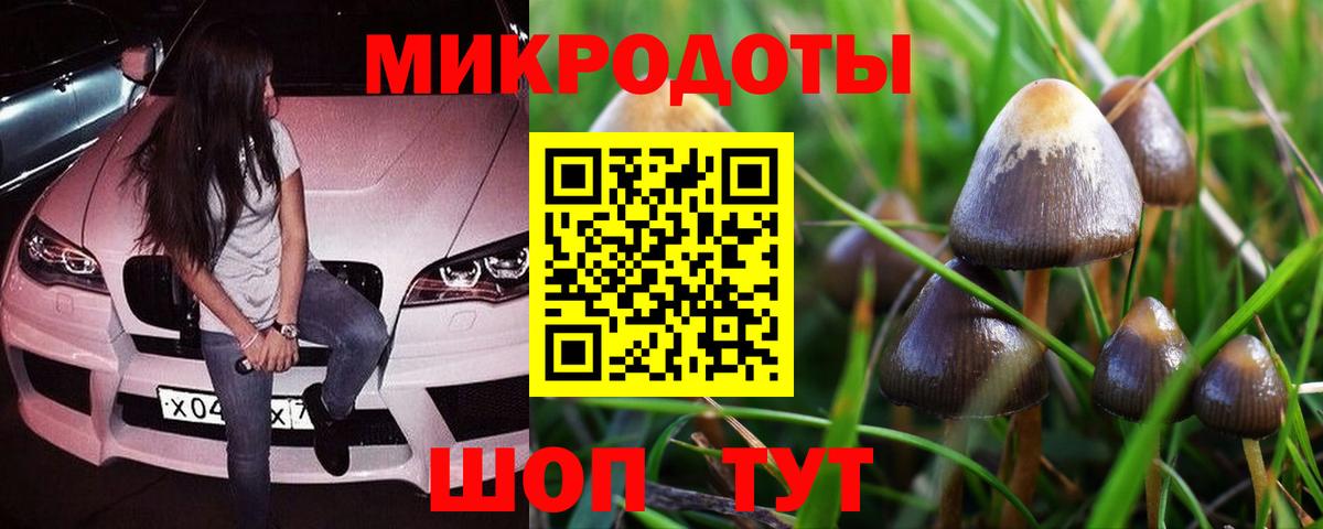 Псилоцибиновые грибы GOLDEN TEACHER  Вход с VPN  Нягань 